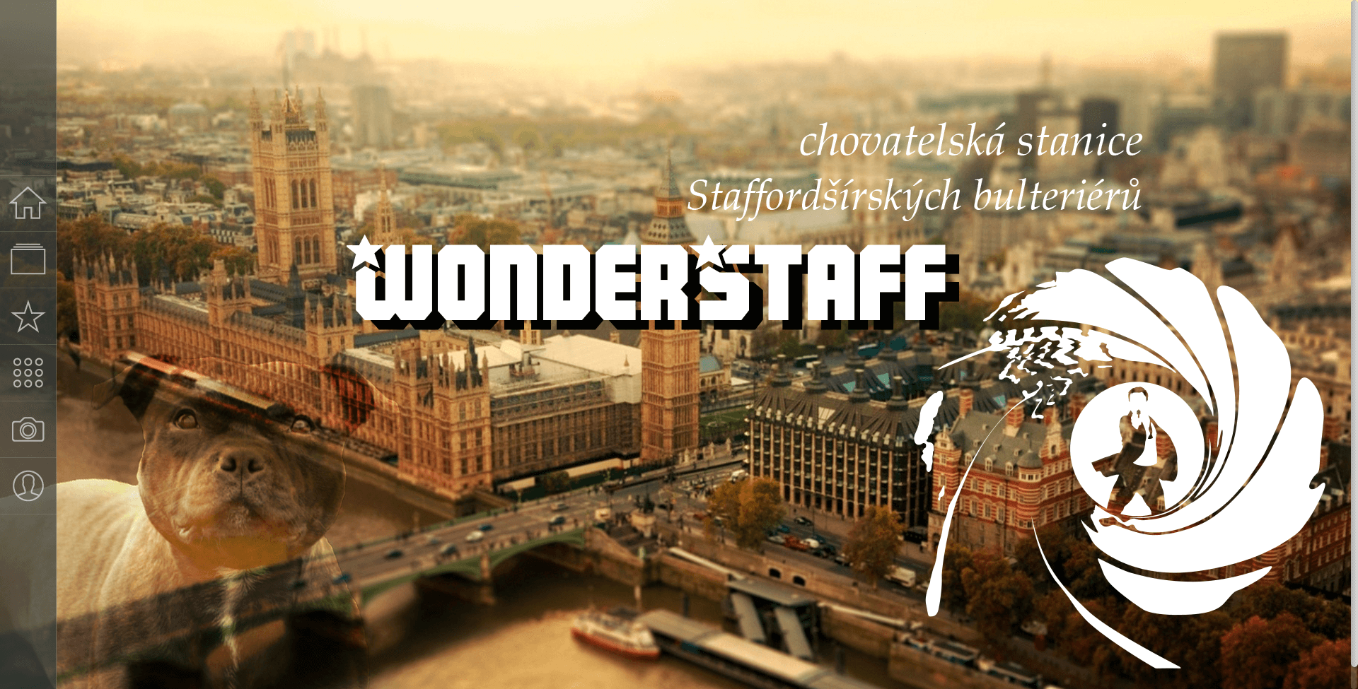 Wonderstaff